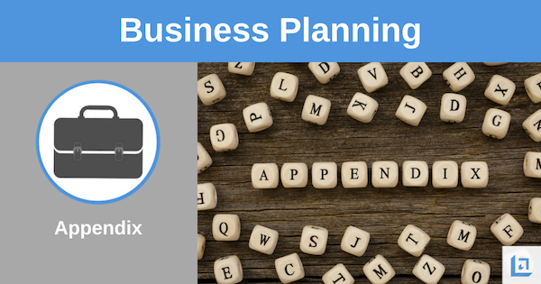 an appendix in the business plan