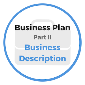 business description