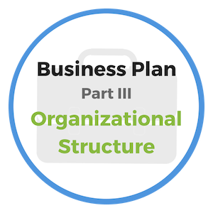 organizational structure