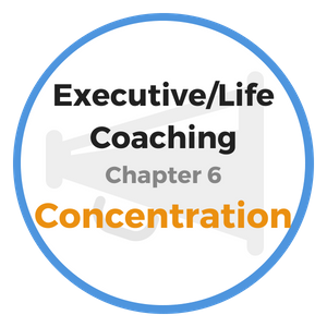 leadership executive coaching