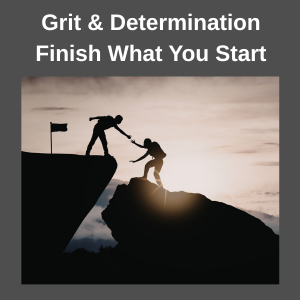 persistence in goals setting helps you finish what you start