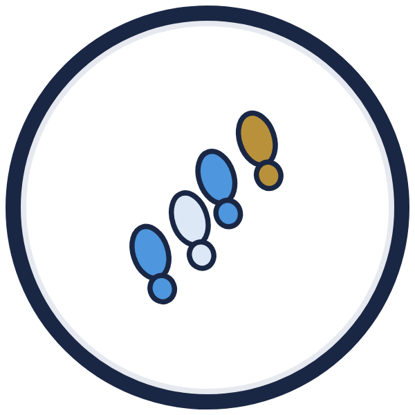 10 steps to leadership development icon: footprints climbing, the last one gold