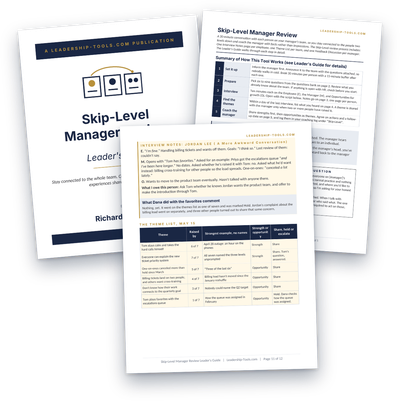 skip-level review form, Leader's Guide, and Theme List